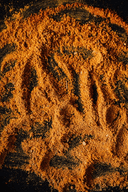 Turmeric Rhizome Extract
